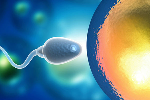 PGT-A技术 PGT-A技术